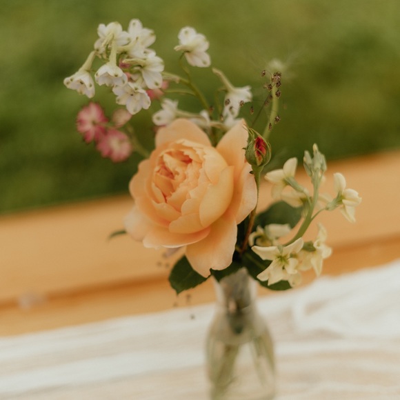 Meet your Posher, Christie - Picture 1 of 1